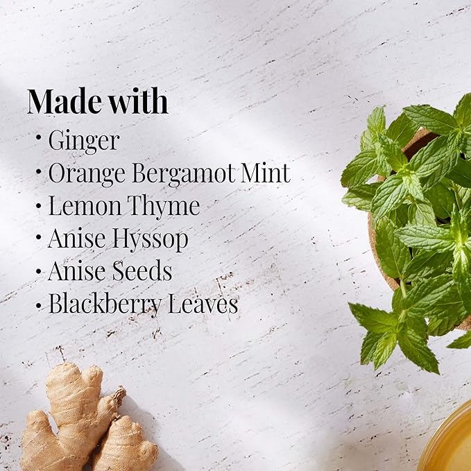 Naranja Jengibre Menta - 3